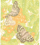 Speckled Wood Butterfly Original Linocut Print - Image 1