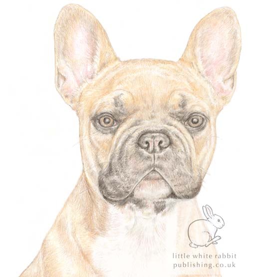 Vinnie the French Bulldog - Blank Card