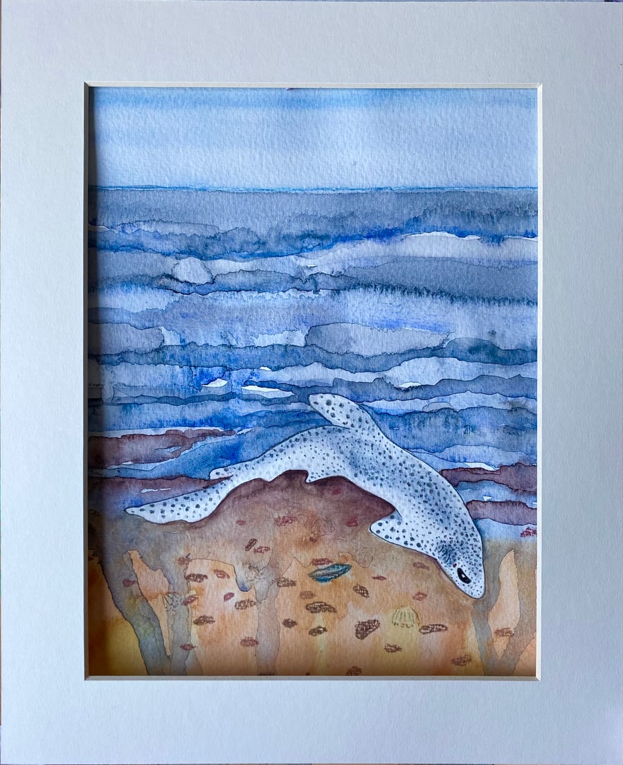 Original painting “Stranded Catshark”