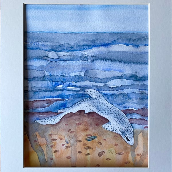Original painting “Stranded Catshark”