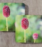 Perfectly Imperfect- Coaster set - 2 mdf coasters -  Allium floral print. - Image 4