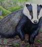 'The Woodland Keeper' Badger Painting in Acrylics
