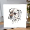 Border Terrier Greeting card 