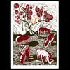 A Herd Of Rhinos Chase Soap-Cat Up A Tree
