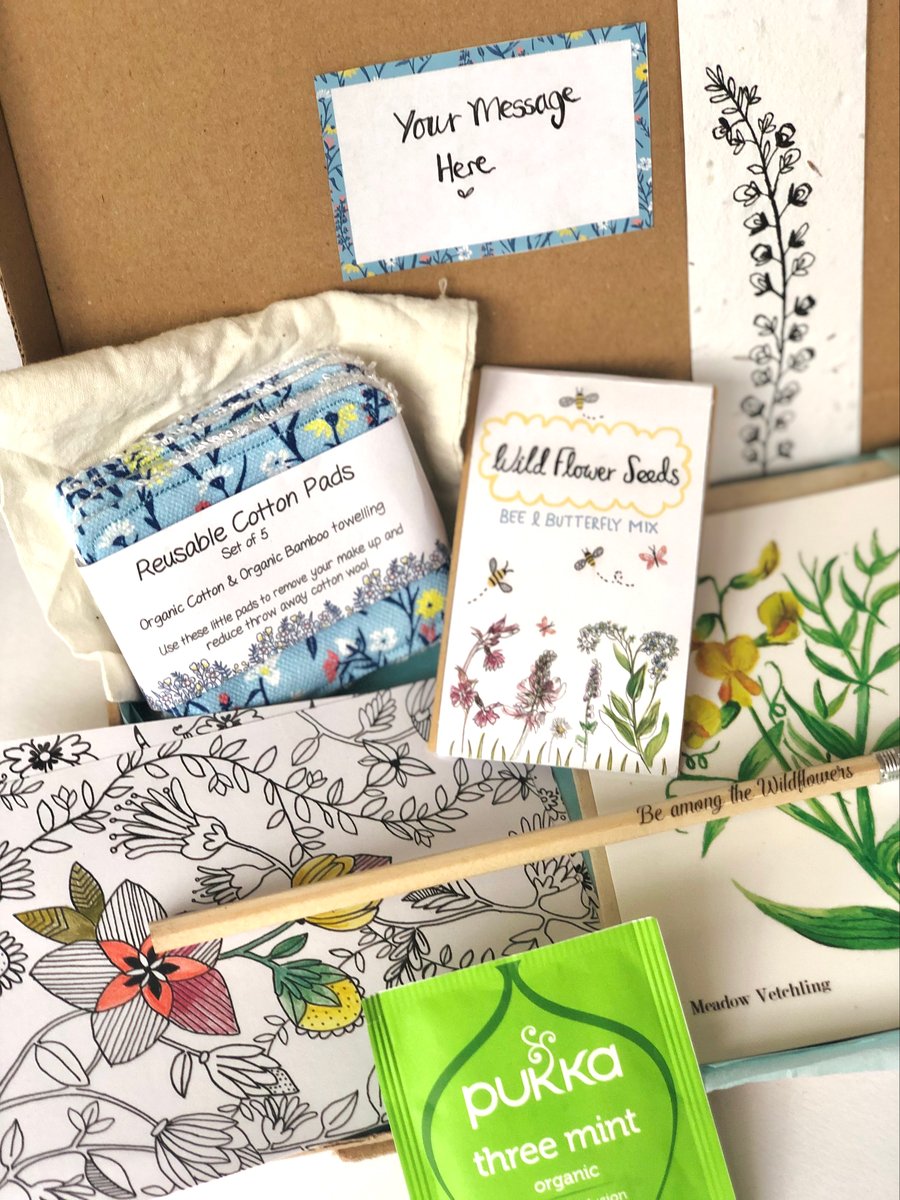 Eco letterbox gift, wildflower care package 