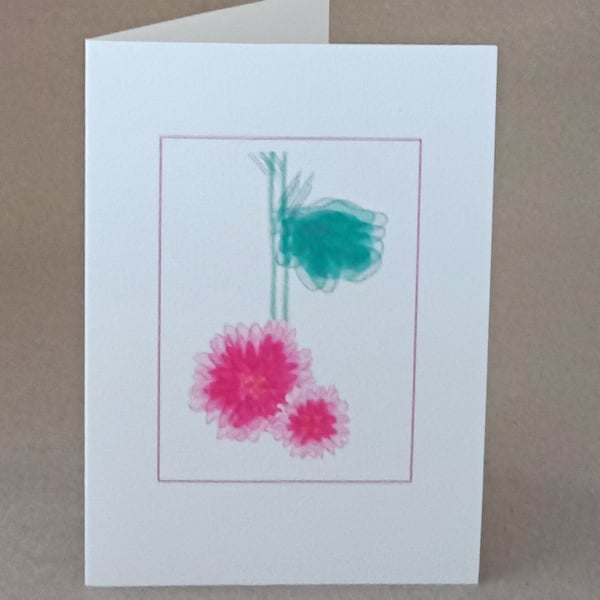 Pink flower cards, fragmented pink mums, blank inside card of chrysanthemum art