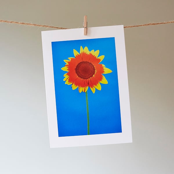 Sunflower greetings card