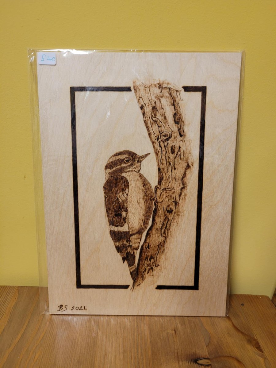 Woodpecker on the Bark