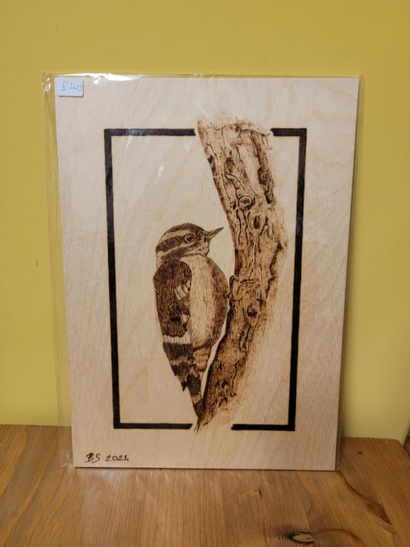 Woodpecker on the Bark