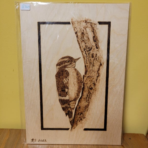 Woodpecker on the Bark