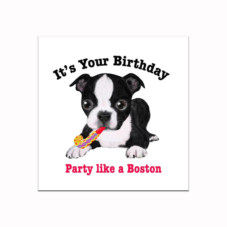 Boston terrier birthday card