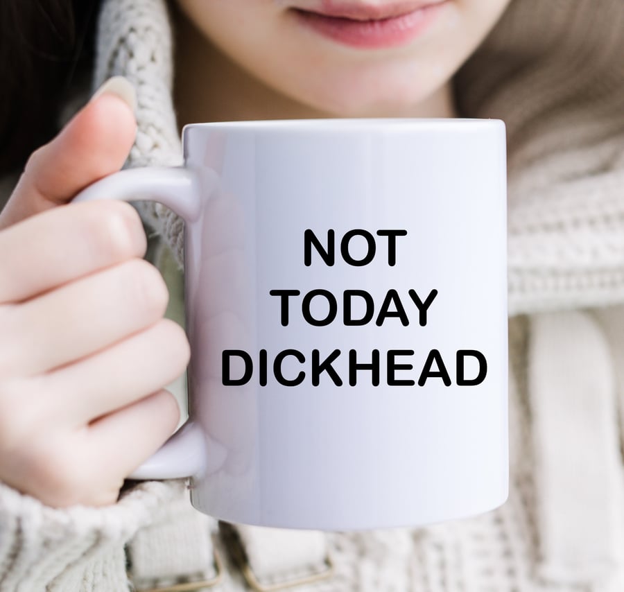 NOT TODAY DICKHEAD Mug - Tea - Coffee Cup - Rude Funny - Various Colour Choices