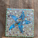 Versace Mosaic Starfish