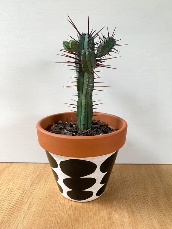 Small 9cm Plant pot, Hand painted, Unique gift, Terracotta