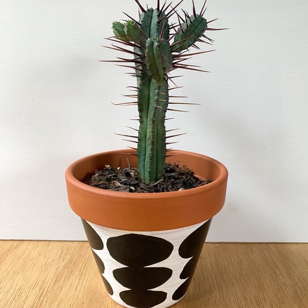 Small 9cm Plant pot, Hand painted, Unique gift, Terracotta
