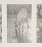 Pencil drawings 4- Deer, waterlilies, tree, original drawing, A5 artwork - Image 5