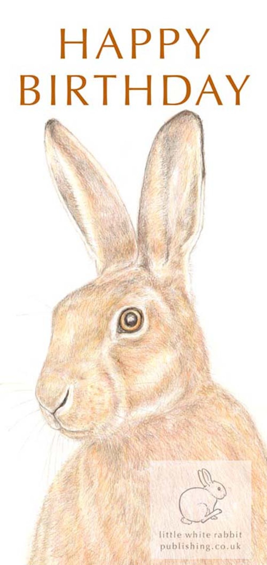 Hare - Birthday Card