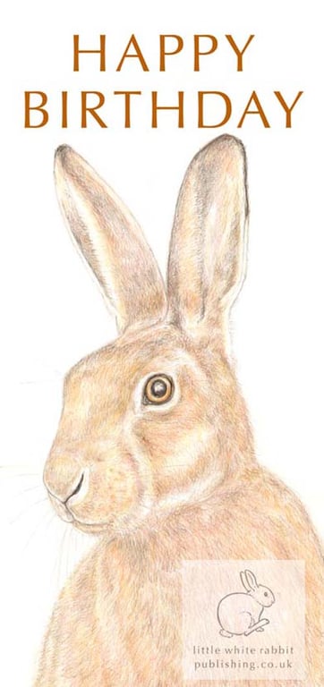 Hare - Birthday Card