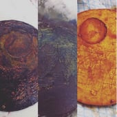 Hedge and Hog Prints