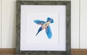 12” x 12” Framed Prints