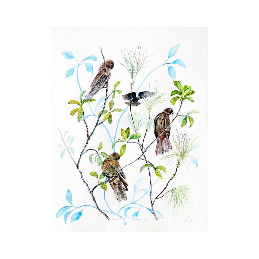 Modern Botanical Bird Wildlife  Painting Black Parrots Original Watercolour Art