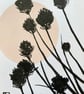 Botanical art, Garden Chives, shadow painting, original artwork, signed - Image 2