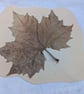 CUSTOM ORDER DO NOT BUY handmade porcelain paper clay leaf dish  - Image 4