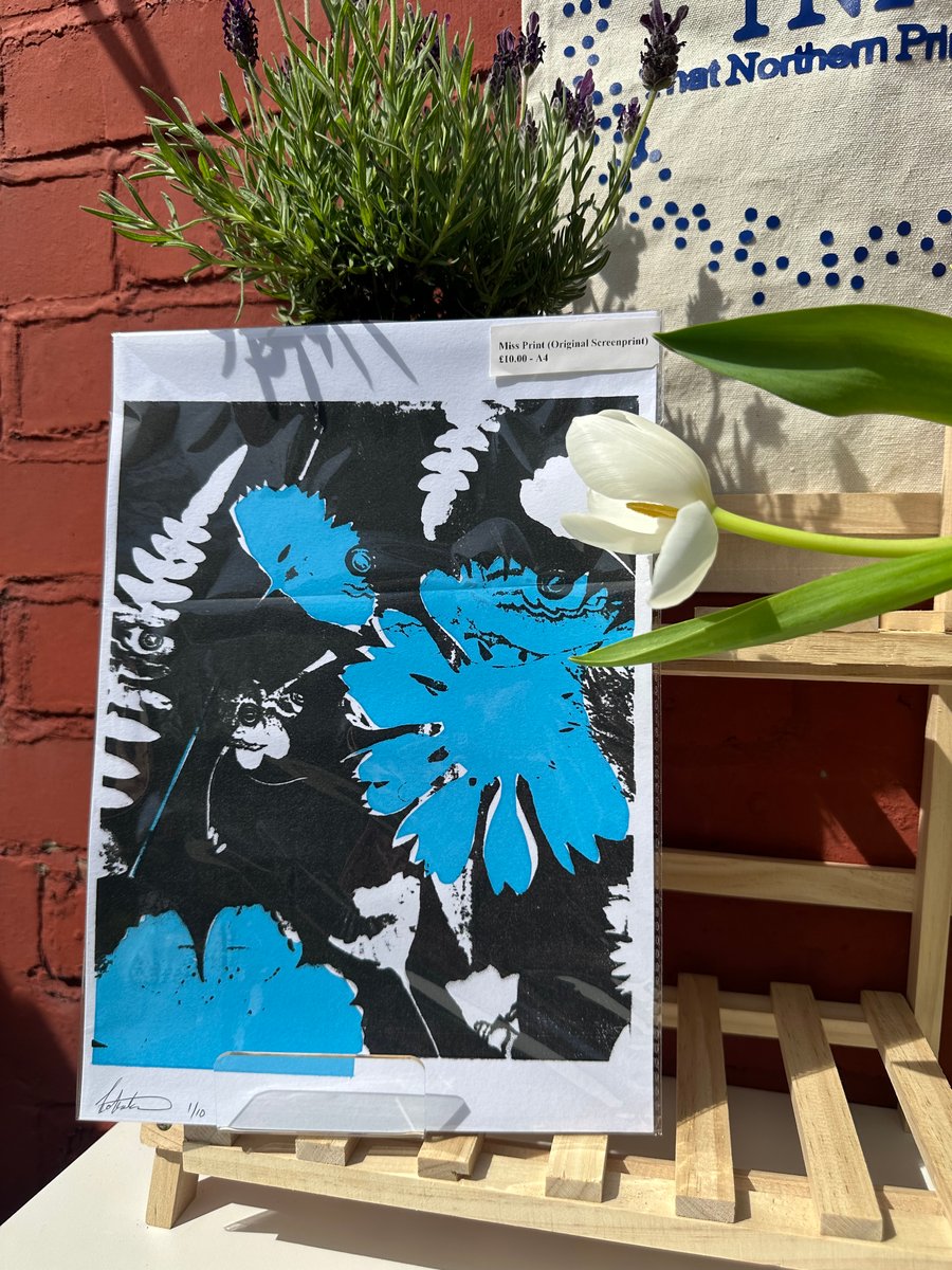 Missprint Botanical Screen Print – Blue & Black (A4, Signed & Numbered)