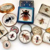 Special Offer Book and Postcard collection from the Fifty Bees exhibition