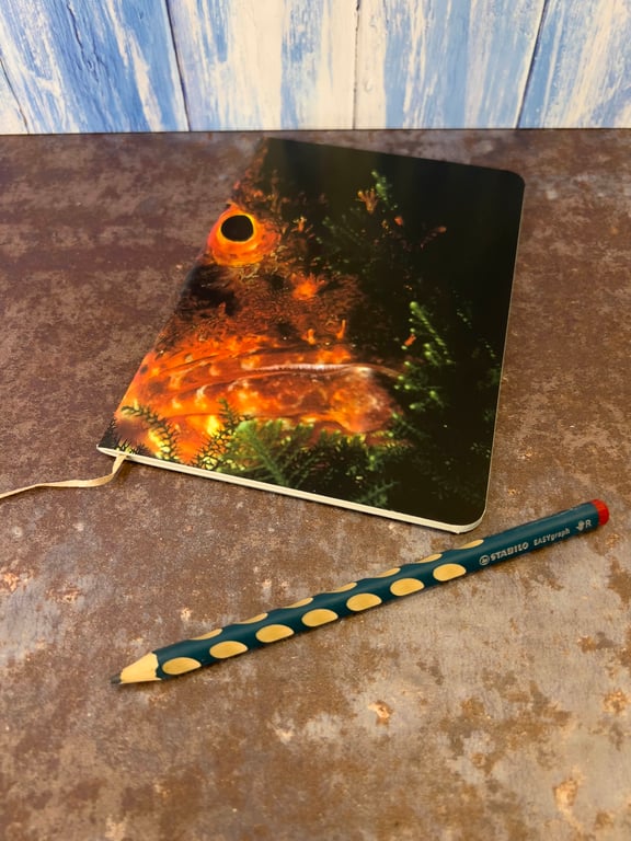 Notebook, Marine themed, A5 (ish), made from up-cycled and recycled materials.