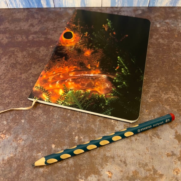 Notebook, Marine themed, A5 (ish), made from up-cycled and recycled materials.