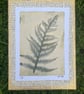 Forest Fern - Original Gel Plate Print