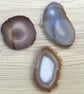 Beautiful Bundle!  3 Large Agate Geode Slices, Home Decor, Photography Prop.