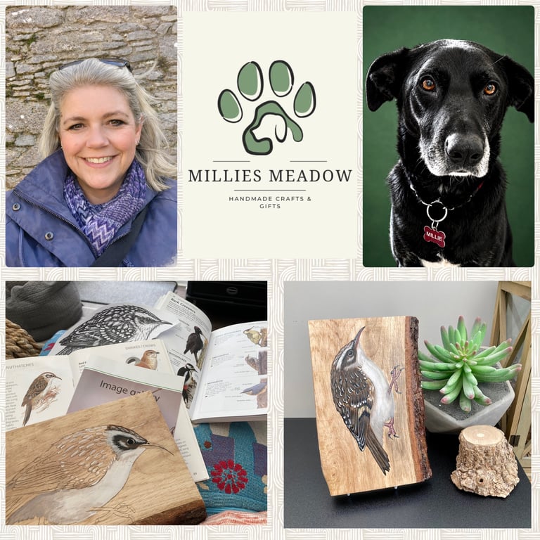 Millie’s Meadow