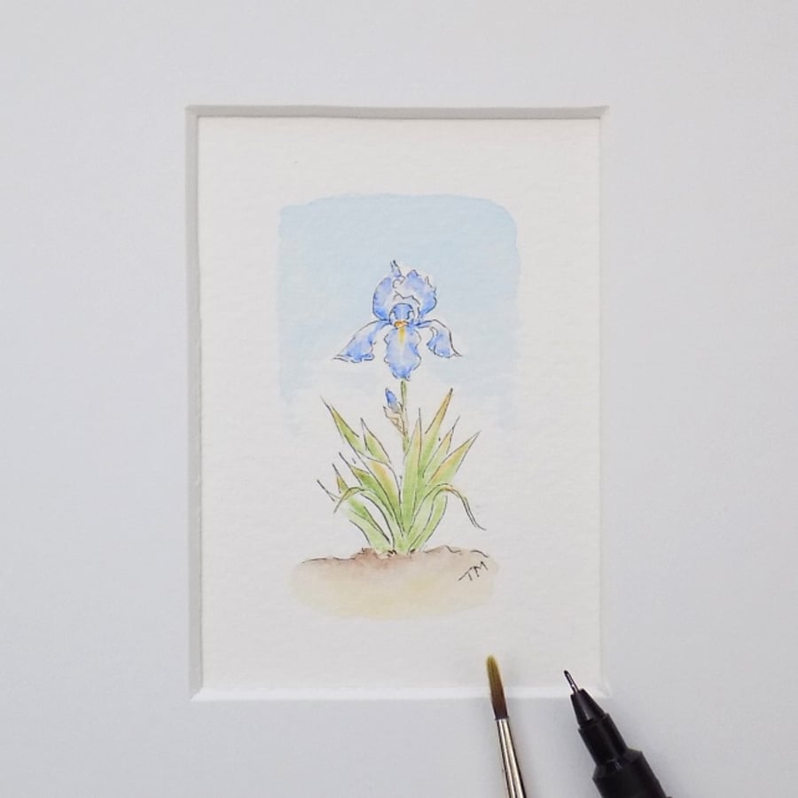 Miniature Watercolour Flower Illustration  6 cm  x 3.5cm
