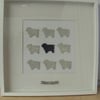 'Black Sheep' Box Frame