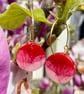 Handmade magenta and pink and biodegradable pink glitter disc hoop earrings