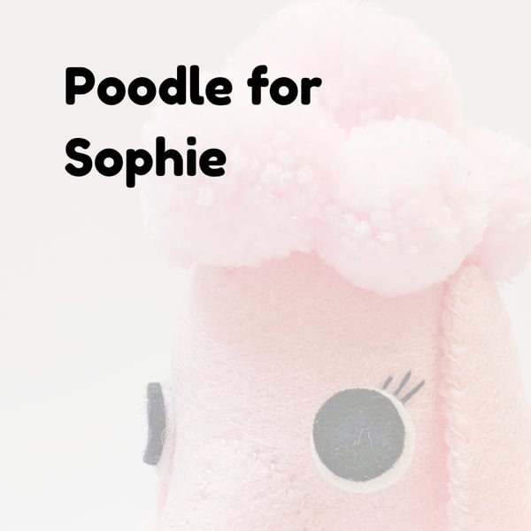 Poodle for Sophie