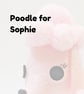Poodle for Sophie