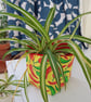 Fabric storage container: red and green chillies - Image 4