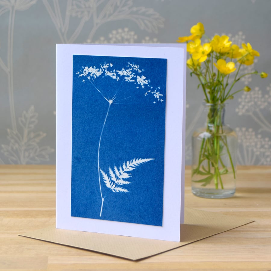 Cow Parsley Cyanotype Card No. 7