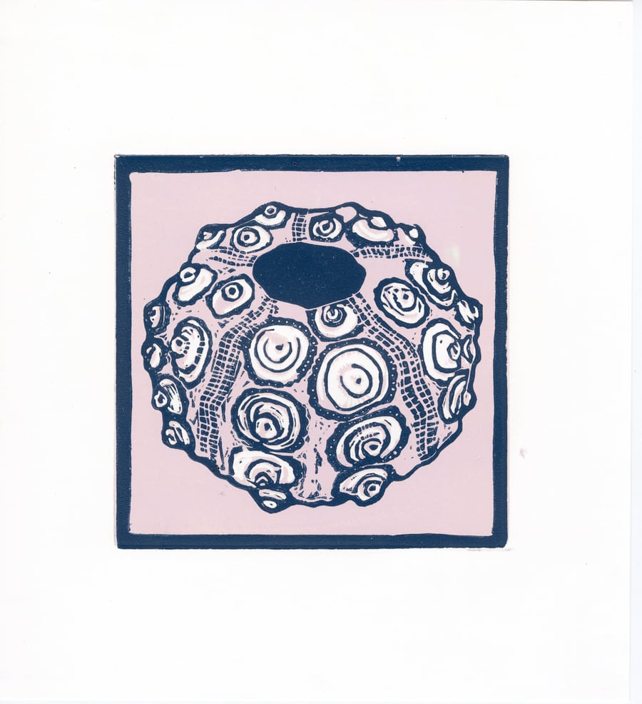  Urchin lino reproduction print ready to frame