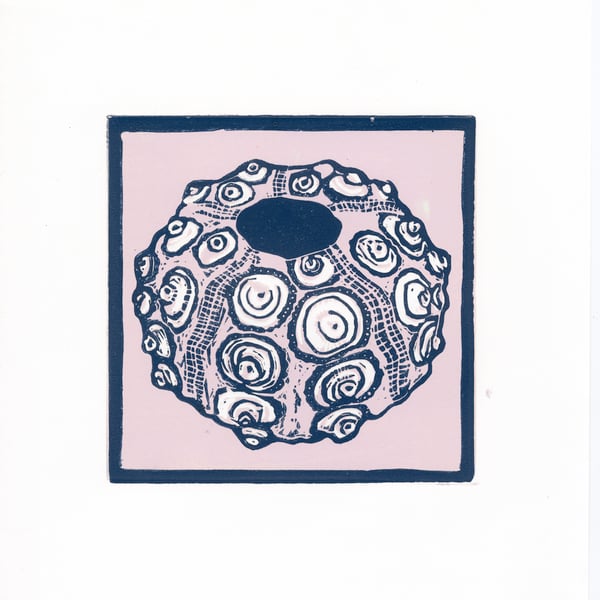  Urchin lino reproduction print ready to frame