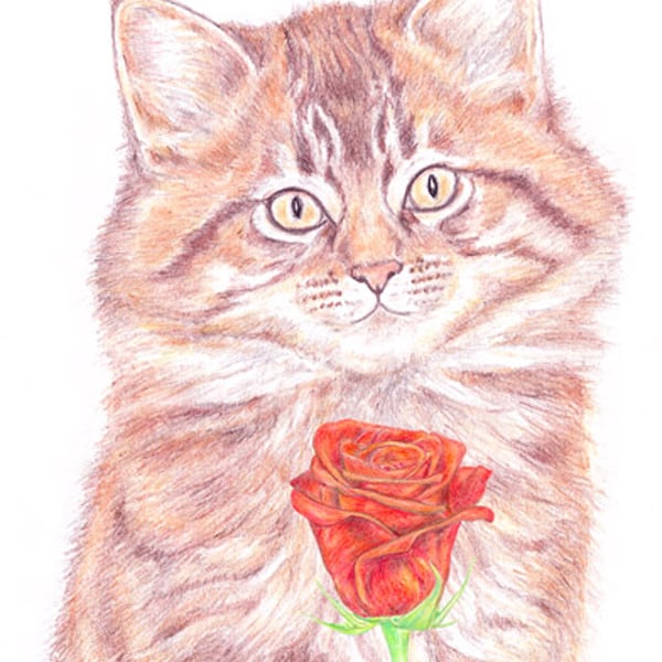 Moppet the Kitten - Valentine Card