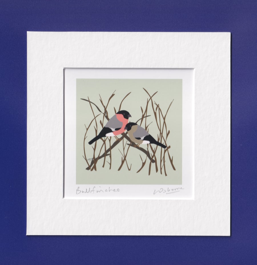 Bullfinches - mounted bird print from digital illustration