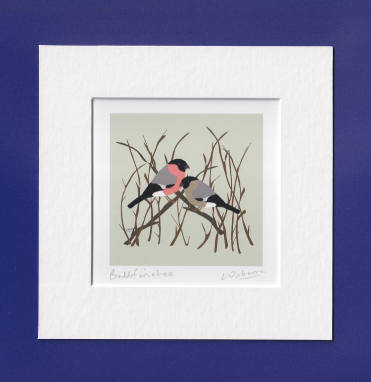 Bullfinches - mounted bird print from digital illustration