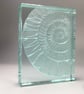 Ammonite Glass Block - Image 3
