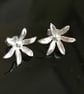 Star of Bethlehem Flower stud earrings made from Silver - Image 9
