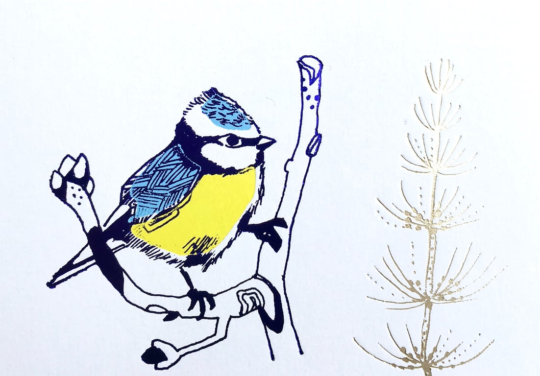 Blue Tit - Greetings Card