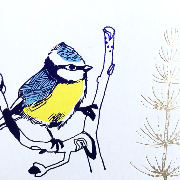 Blue Tit - Greetings Card